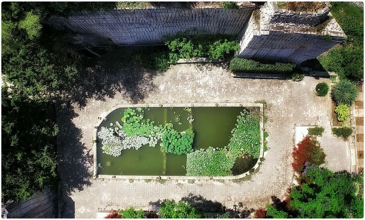 Ferienwohnung Giardino Dell'Impossibile Di Antonino Campo Favignana Exterior foto